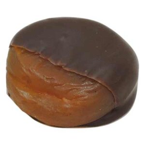 Apricots in Dark Chocolate