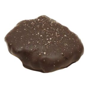 Dark Chocolate Sea Salt Cashew Turtle