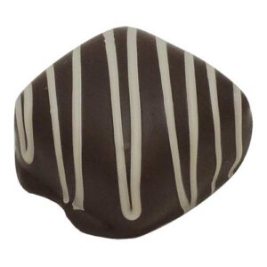 Dark Chocolate Macaroon Coconut “Needham”