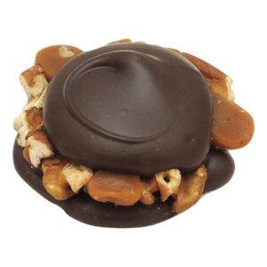 Dark Chocolate Pecan Turtle