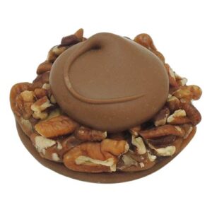 Milk Chocolate Pecan Turtle