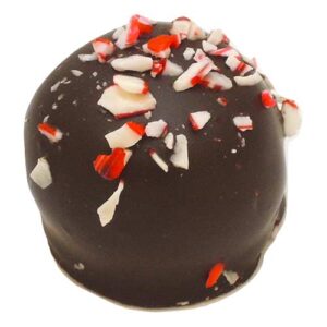 Peppermint Frostbite Truffle in Dark Chocolate
