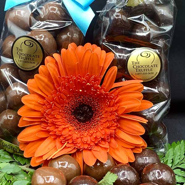 Homemade Malted Milk Balls