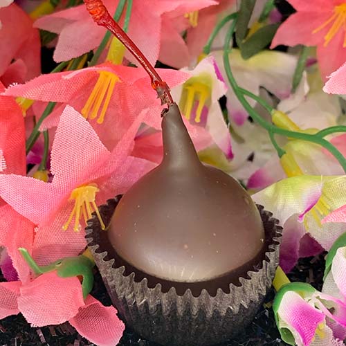 Chocolate Covered Cherries - Reading MA