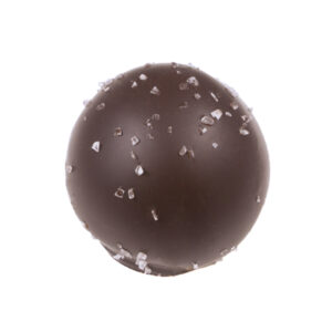 Dark Chocolate Gluten Free Mini Sea Salt Caramel Truffle