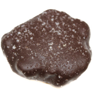 dark-chocolate-sea-salt-cashew-caramel-nut-patty